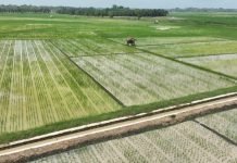 Bupati Egi Bikin Terobosan! Kawasan 1.019 Hektare di Trimomukti Disulap Jadi Zona Pertanian Super Canggih