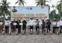 Aksi Nyata! Bupati Egi dan Kajati Tanam Jagung Perdana Demi Ketahanan Pangan dan Kesejahteraan Petani