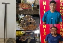 Polsek Talang Ubi Tangkap Dua Pencuri Sawit, 132 Tandan Diamankan