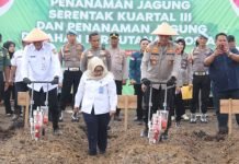 Dukung Swasembada Pangan Nasional, Wakapolda Sumsel Tanam Jagung di OI