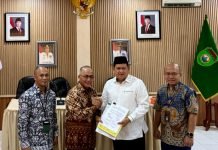 Setelah Puluhan Tahun, Lima Desa di Muba Akhirnya Nikmati Listrik