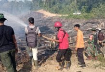 BPBD Muba dan Tim Gabungan Sukses Padamkan Api di Sungai Keruh, Bupati Toha Apresiasi Gerak Cepat Satgas Karhutla