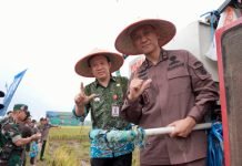 Panen Raya di Trimurjo, Lampung Siap Jadi Garda Terdepan Ketahanan Pangan Nasional