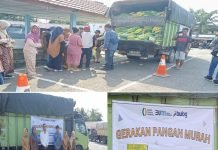 Stabilisasi Harga dan Pasokan, Dinas Ketahanan Pangan PALI Gelar GPM
