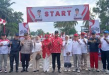 Rayakan HUT RI ke-80, Pemkab PALI Gelar Karnaval