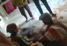 Warga Pangkalan Lampam Gempar, Gadis Ini Ditemukan Tewas di Rumah Calon Suami