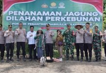 Dukung Swasembada Pangan, Polres OKI Lakukan Penanaman Jagung di Ponpes Sabiilillah Kayuagung