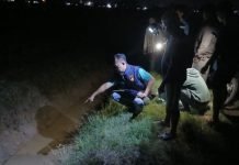 Warga Tugu Mulyo Tewas Tersengat Alat Setrum Ikan di Area Persawahan