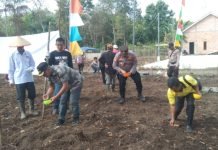 Pemdes Bumi Ayu Resmikan Kebun Ketahanan Pangan Budidaya Jagung Hibrida