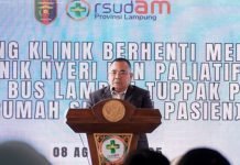 Hari Jadi ke-41 RSUDAM, Pemprov Lampung Tingkatkan Akses dan Kualitas Layanan Kesehatan