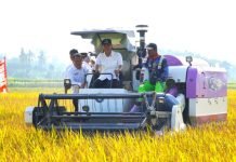 Modernisasi Pertanian Jadi Kunci Sukses Swasembada Pangan di OKI