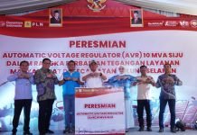 Tegangan Naik Jadi 220 Volt, PLN Jamin Listrik Andal Sampai Tulung Selapan