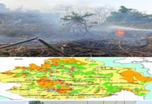 222 Titik Panas Terpantau di Kabupaten PALI, Ini Sebaran Wilayahnya