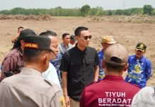 Bupati OKI Blusukan Tinjau Lahan Cetak Sawah dan Pembangunan Jalan di Lempuing