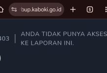 Usai Dikritik, Diskominfo OKI Hapus Postingan Dugaan Pelecehan Seksual di Portal Laporbup