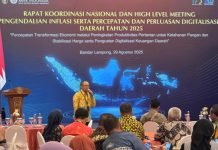 Pemprov Lampung dan Bank Indonesia Perkuat Ekonomi Lewat Rakorda TPID-TP2DD 2025