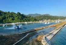 Jelang Hari Kesaktian Pancasila, PLN UP3 Pringsewu Nyalakan Listrik Dukung Hilirisasi Pertanian dan Perikanan