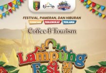Lampung Fest 2025 Digelar November, Andalkan Kolaborasi Tanpa Dana APBD