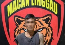 Buruh Harian di Lubuk Linggau Ditangkap Polisi Usai Curi Ponsel