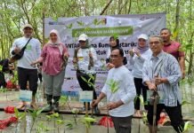 ANTARA Gelar TJSL Rehabilitasi Mangrove di Lampung Timur
