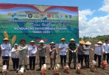 Penanaman Jagung Serentak Kuartal IV, Wujud Sinergi Polri dan Pemerintah Dukung Swasembada Pangan Nasional