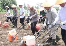 Polda Sumsel Dukung Ketahanan Pangan Lewat Penanaman Jagung Serentak di OKI