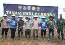 TNI Turun ke Sawah! Kodim 0402/OKI-OI Tanam Padi Perdana Program Cetak Sawah di Benawa