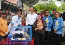 Bupati OKI Dekatkan Layanan Administrasi ke Warga Lewat Pelayanan Terpadu di Kecamatan