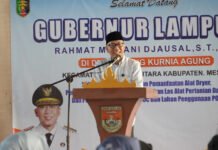 Kembangkan Kompetensi Warga, Desa Kurnia Agung Jadi Inspirasi Peningkatan SDM Mesuji