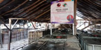 Koperasi Inkotani Perindo Tak Terdaftar, Ketua IWO Muba Pertanyakan Legitimasi dan Keterkaitannya dengan Ilegal Refinery