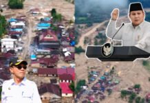 Instruksi Presiden Prabowo Soal Pembalakan Hutan, Bupati Tapsel Sudah Lakukan