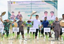 Pemkab Lampung Selatan dan Kejati Lampung Dorong Ketahanan Pangan lewat Ekspansi Padi Biosalin di Sragi