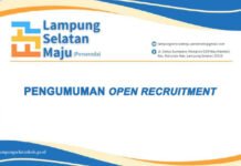 Pengumuman Open Recruitment BUMD Lampung Selatan Maju (Perseroda)