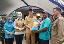 Bupati OKI Salurkan 142 Ribu Kg Benih Padi untuk Pemulihan Sawah Terdampak Banjir