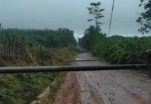 Hujan Deras dan Angin Kencang, Empat Tiang Listrik Roboh di Pedamaran Timur