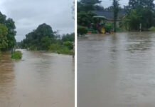 Hujan Sehari Semalam, Desa Margo Bakti Mesuji Kembali Terendam Banjir