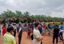 Polda Sumsel Cek Lahan Plasma Bermasalah, Desa Bukit Batu Mendadak Heboh