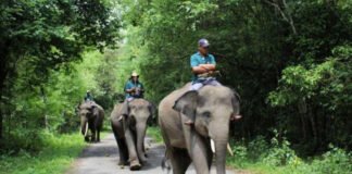Pemprov Lampung Apresiasi Langkah Presiden Prabowo Wujudkan Keamanan Masyarakat di Way Kambas