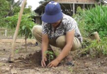 Warga Satu Desa Tanam Pepaya, SPPG Siap Tampung Hasil Panen