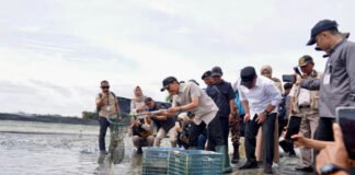 Sumbang Devisa, Tambak Udang OKI Dipasok Listrik Andal