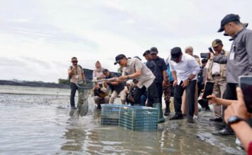 Sumbang Devisa, Tambak Udang OKI Dipasok Listrik Andal