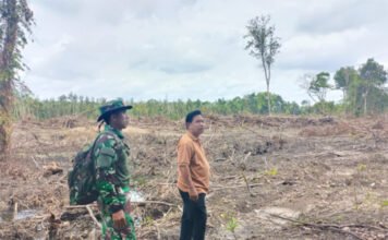 Program Cetak Sawah Picu Konflik Batas Wilayah, Kades Tanding Marga Protes Dugaan Penyerobotan Lahan