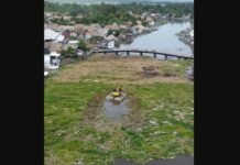 PUPR OKI Turunkan Alat Berat, Bersihkan Gulma di Jembatan Belanti