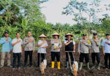 Penanaman Jagung Serentak Kuartal I di Polsek Air Sugihan Dukung Swasembada Pangan