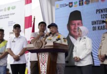 Pulih Cepat dari Bencana, Mendagri ‘Angkat Topi’ untuk Tapsel