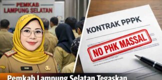Heboh UU HKPD, Pemkab Lampung Selatan Tegaskan Tak Ada PHK Massal PPPK