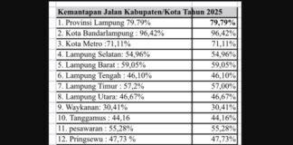 Jalan Mulus di Atas, Retak di Bawah: Ketimpangan Infrastruktur Lampung Kian Menganga