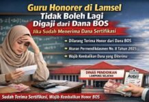 Sudah Terima Sertifikasi, Guru Honorer Tak Boleh Lagi Digaji dari Dana BOS, Simak Penjelasannya