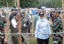 Konflik Gajah Tak Kunjung Usai, Bupati Ela Soroti Nasib Warga Sekitar Way Kambas