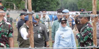 Konflik Gajah Tak Kunjung Usai, Bupati Ela Soroti Nasib Warga Sekitar Way Kambas